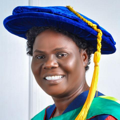 Prof. C.O OLANIYI